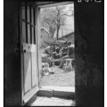 Corvée de pommes de terre.