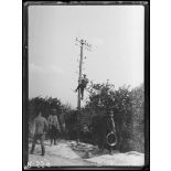 Zuydcoote. Sapeurs du 8e Génie construisant une ligne téléphonique. [légende d'origine]