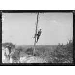 Zuydcoote. Sapeurs du 8e Génie construisant une ligne téléphonique. [légende d'origine]