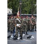 Coulisses du 8e RPIMa des forces de souveraineté pour le théâtre de la Guyane lors de la cérémonie du 14 juillet 2011.