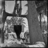 1960 Algérie - Sahara - population. [légende d'origine]<br>