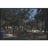 1956 Palikao, environs, à Thiersville. [légende d'origine]