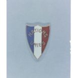 [Insigne de col du bataillon français de l'ONU.]