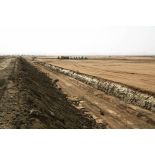 Déploiement de l'opération de la force européenne EUFOR Tchad/RCA (République centrafricaine) : terrassement du camp des Etoiles par des engins du génie et des civils tchadiens (aménagement de plateformes, creusement de fossés pour drainer les eaux de pluie).
