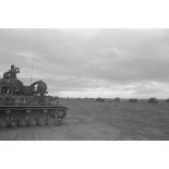 Progression de blindés allemands, Panzer II et Panzer IV.