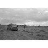 Une Horch 108 Typ 40 tractant une pièce de 2 cm Flak.