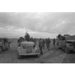 Véhicules britanniques capturés, aupremier plan, on note l'immatriculation WH 799 085