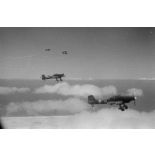 Attaque de Junkers Ju-87 sur des blindés alliés lors de la bataille d'El Alamein.