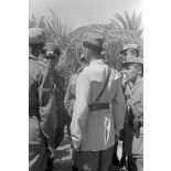 Lors de la visite de l'oasis de Siwa, le général Rommel s'entretient avec des officiers allemands et italiens.