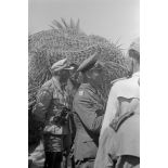Rommel visite l'oasis de Siwa.
