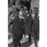 Accompagné d'officiers italiens, Rommel et Gause visitent l'oasis de Siwa.