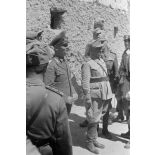 Rommel visite l'oasis de Siwa.