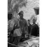 Rommel visite l'oasis de Siwa.