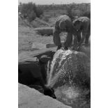 La source de l'oasis de Siwa bouillonne avec une forte pression.