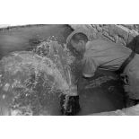 La source de l'oasis de Siwa bouillonne avec une forte pression.