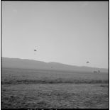 Parachutage d'éléments du 1er régiment étranger de parachutistes (REP) lors d'une opération combinée dans la région du Djebel Chelia (Aurès).