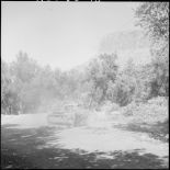 Des bulldozers du 106e régiment du génie (RG) en action.