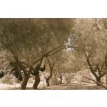 Fort. Tamadjert. [légende d'origine]