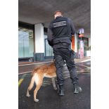 Un agent cynotechnique de la sûreté aérienne et aéroportuaire sécurise une zone de colis suspect à Orly.