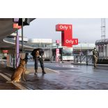 Un agent cynotechnique de la sûreté aérienne et aéroportuaire sécurise une zone de colis suspect à Orly.