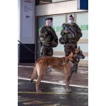 Des soldats sécurisent une zone de colis suspect à Orly.