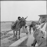 Enfants de El-Gacia.