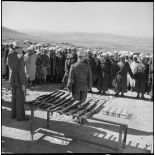 Remise d'armes à la population au douar de Djebel Aougueb.