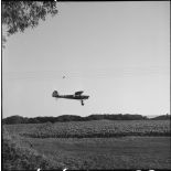 Un appareil d'observation Morane Saulnier 500 Criquet survole des vignes.