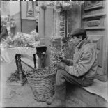 Un marchand de gui à Alger.
