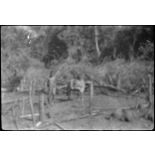 [Opération Gaur en Indochine, janvier-mars 1946. Populations Moïs.]