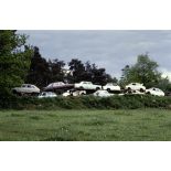 Orne (61). Cimetière de voitures.