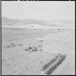 Centre de regroupement de Boudjebâa. Maison en construction.