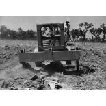 République du Sénégal, Sefa, 1954. Culture mécanisée de l'arachide. Soussolage d'une parcelle.