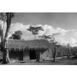 République de Côte d'Ivoire, région de Man, 1962. Case en pays Yacouba.