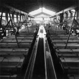 République unie du Cameroun, Dizangué, 1943. Plantation 