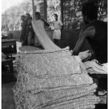 République unie du Cameroun, 1943. Plantation 