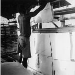 République unie du Cameroun, 1943. Plantation d'hévéas 