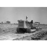 République du Sénégal, Séfa, 1954. Culture mécanisée de l'arachide. Sous-solage d'une parcelle.