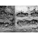 République du Sénégal, Bassoul (iles du Saloum), 1969. Agglomérat de coquillages.