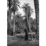République islamique de Mauritanie, 1934. Agni. La palmeraie.