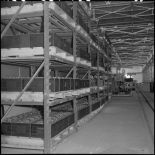 La chaîne de montage de camions de la Société Africaine des automobiles Berliet à Rouiba : hall de stockage.