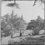 L'unité territoriale d'Alger en patrouille à Teniet el Haad. [Description en cours]