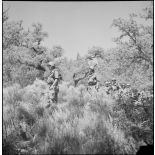 L'unité territoriale d'Alger en patrouille à Teniet el Haad. [Description en cours]