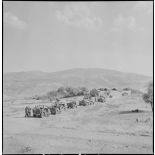 L'unité territoriale d'Alger en patrouille à Teniet el Haad. [Description en cours]