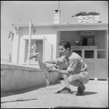 Le 1/42e RA à Chasseriau. [Description en cours]