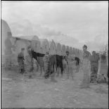 La 125e compagnie muletière à Tebessa. [Description en cours]