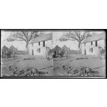 Montigny-sur-Vesle (Marne). Cadavre allemand au carrefour de la Kaiser Platz et de la route allant à la ferme de l'Orme. [légende d'origine]