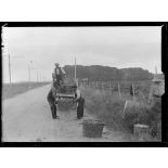 Béziers. Hérault. Les vendanges : le vin de la guerre. Transport du raisin cueilli. [légende d'origine]