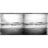 Le débarquement de mulets. [légende d'origine]