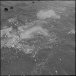 Epreuve de natation.